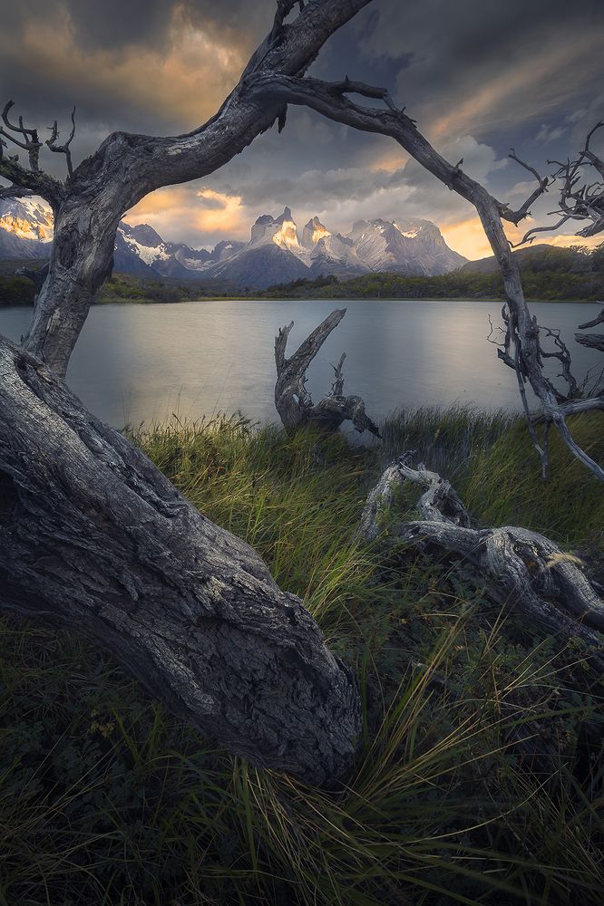 Photograph by Mauricio Narea