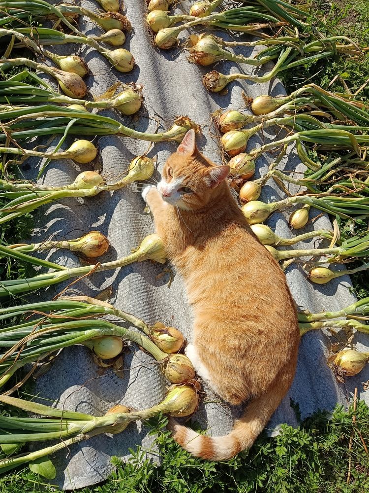 Photograph by Юлия