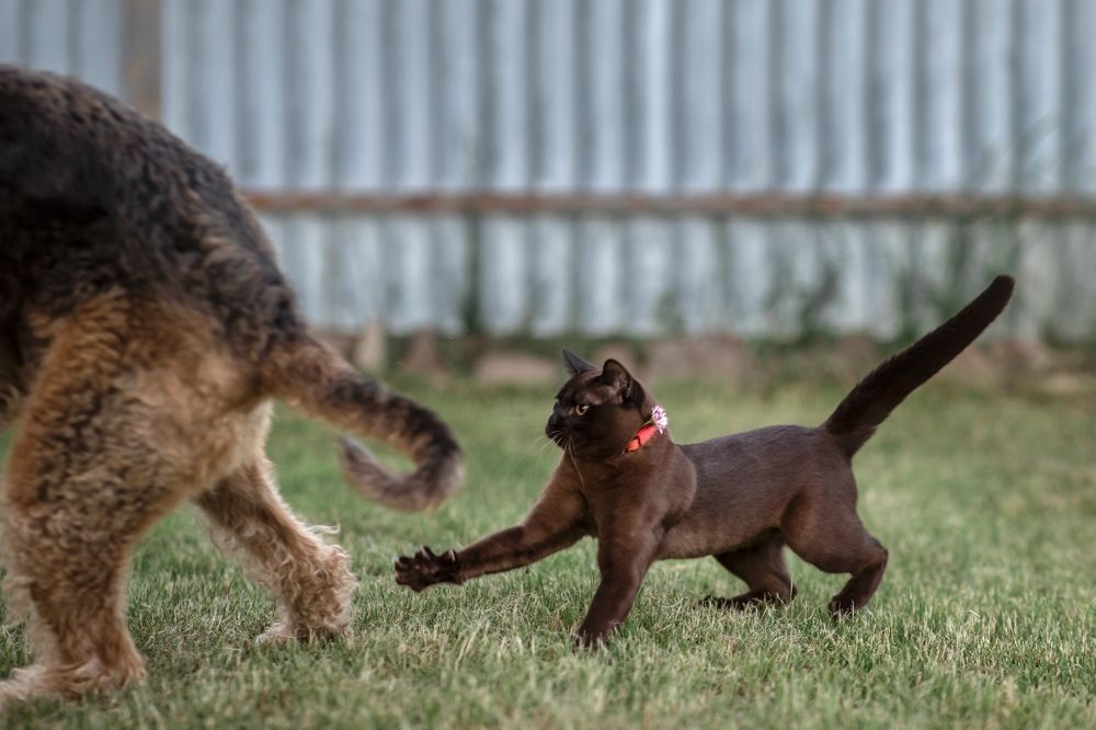 Photograph by Ольга Хентова