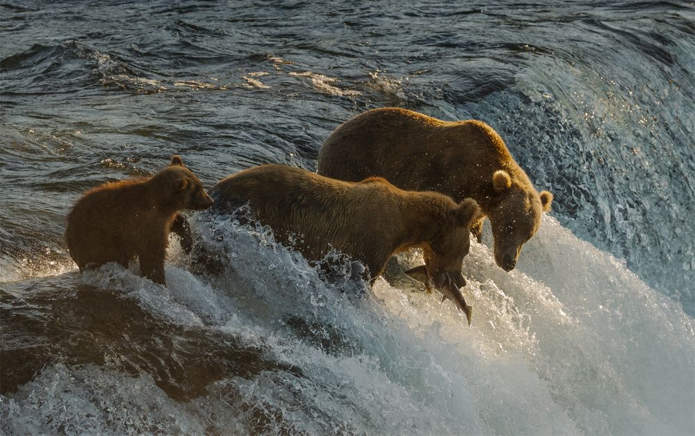 Photograph by Sheree Chang