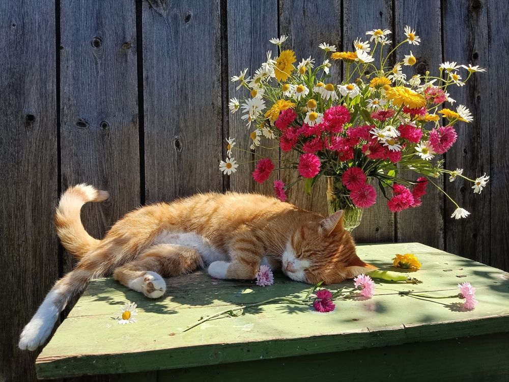 Photograph by Юлия