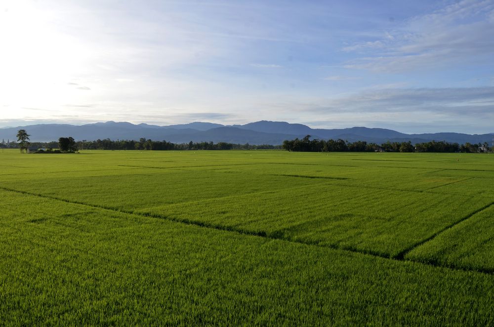 Фотография автора photograph Umar abdi