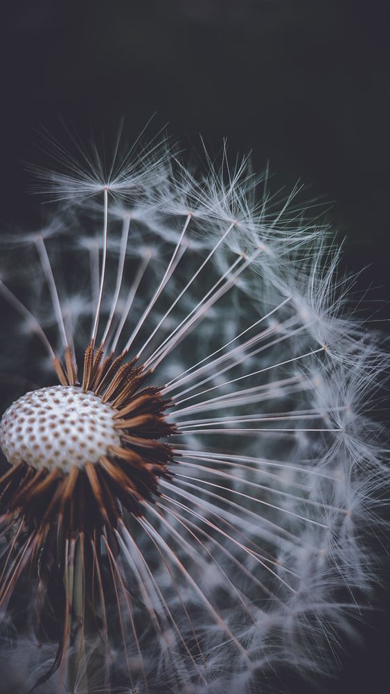 Photograph by Ирина Львова