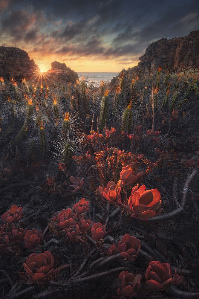 Photograph by Mauricio Narea