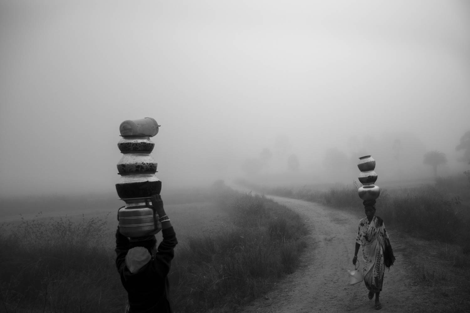 Photo #8931774