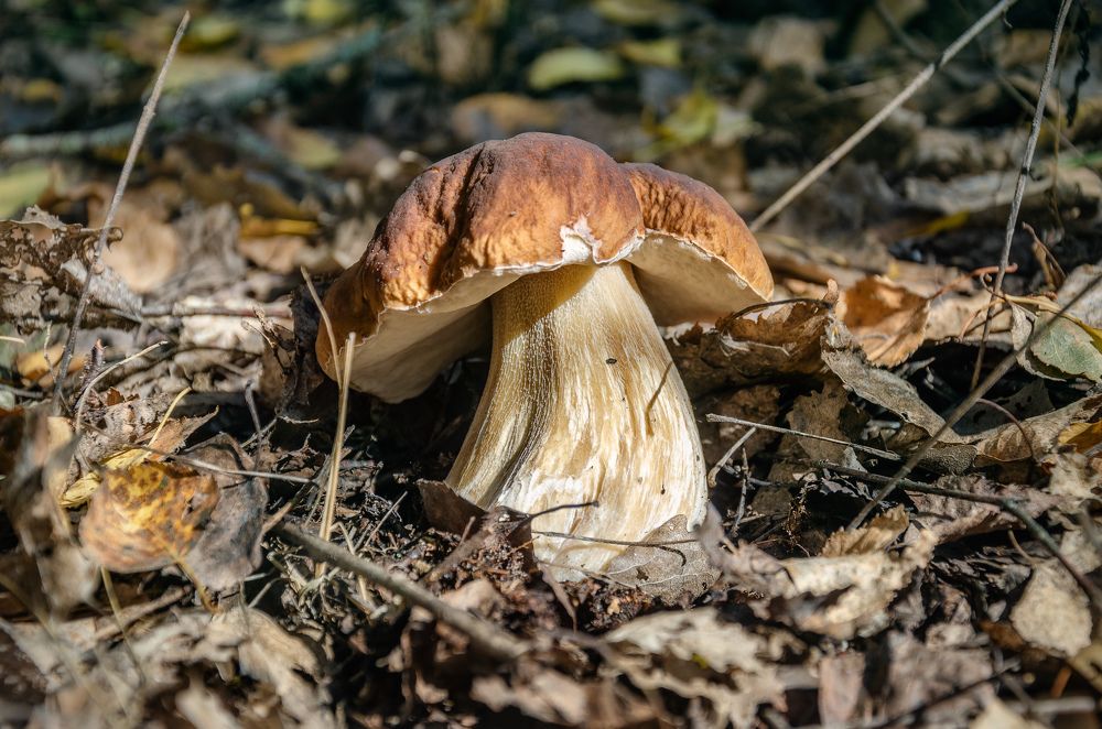 Photograph by Константин Ушмаев