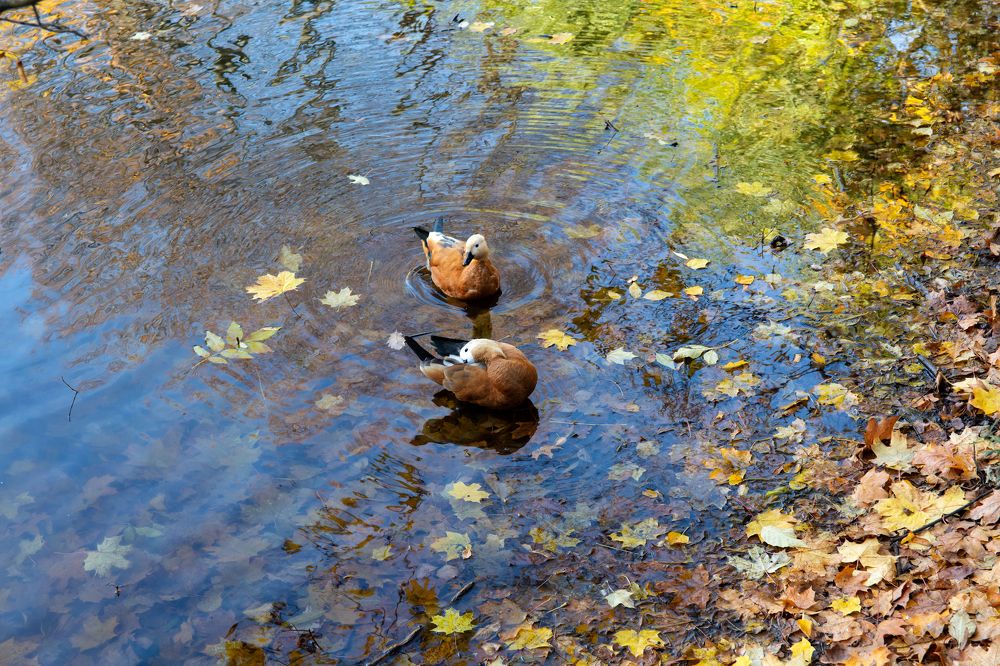 Photograph by Екатерина