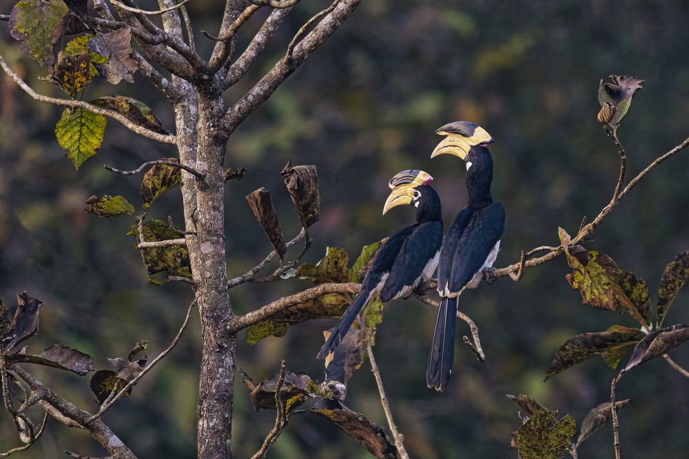 Photograph by Abhinav Behera