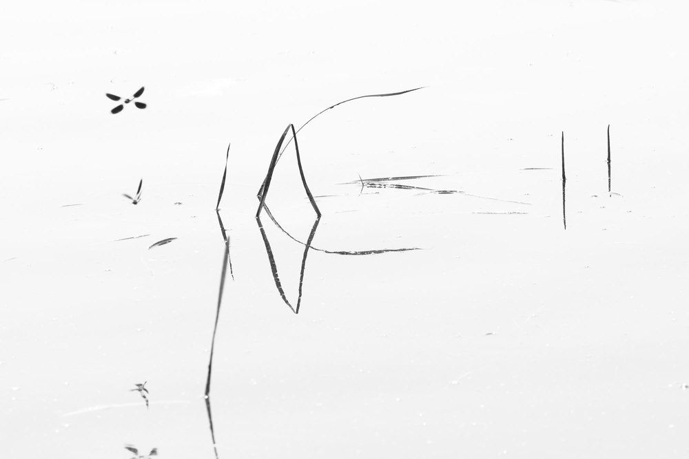 Рисунки на воде