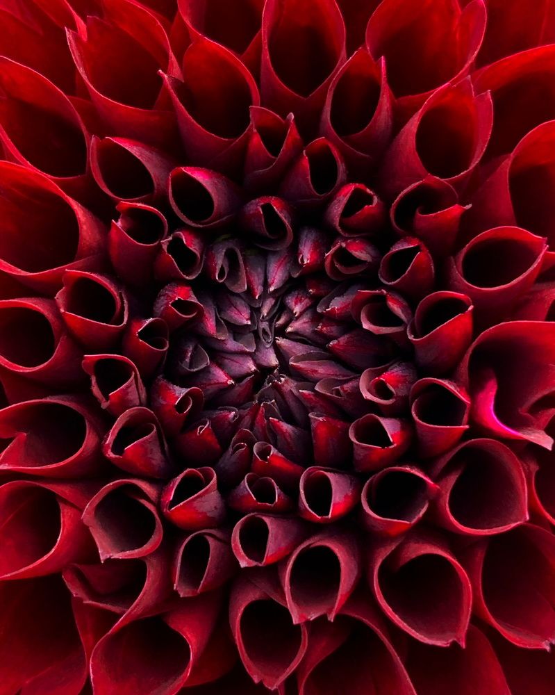 Photograph by Мария Боевая