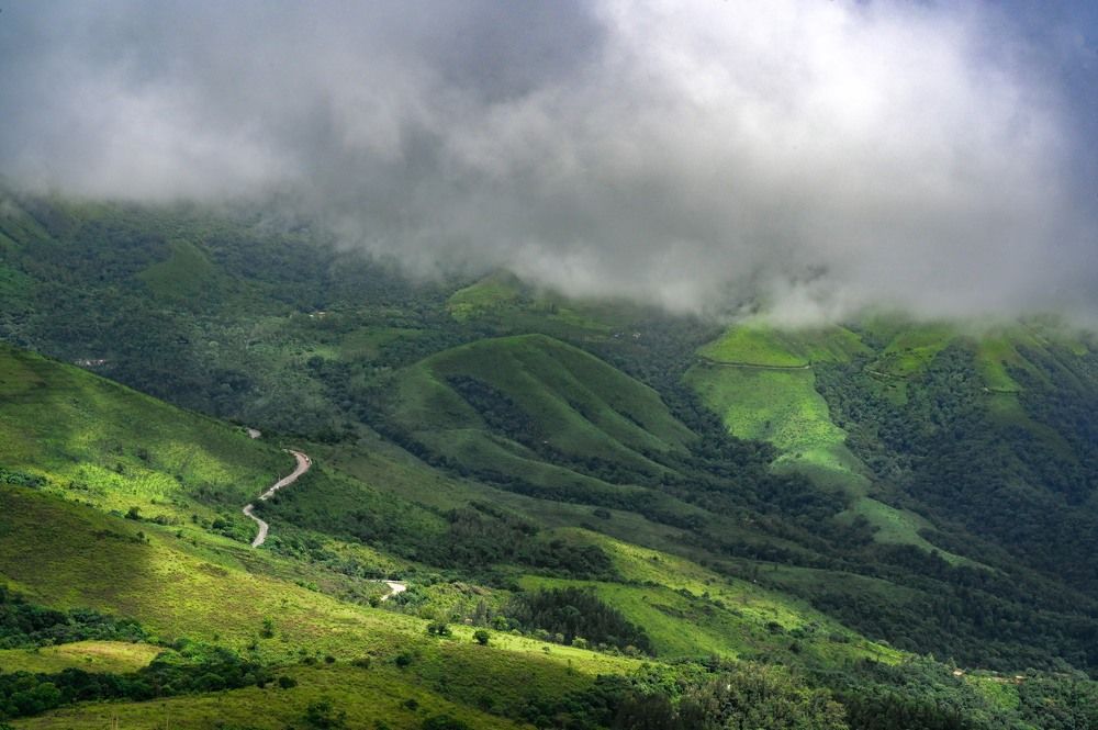 Photograph by Akhil Jella