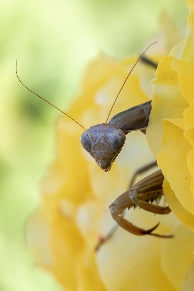 ОДНАКО, ЗДРАВСТВУЙТЕ!