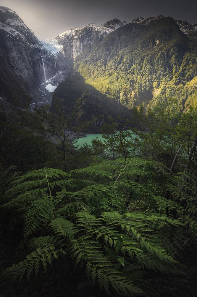 Photograph by Mauricio Narea