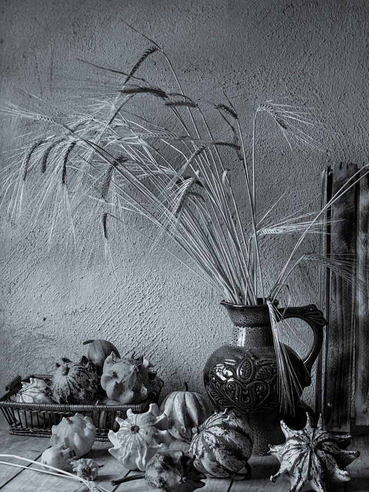 Photograph by Наталья Перерва