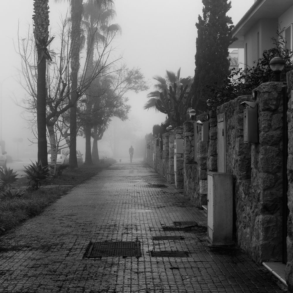 Photograph by Radoslav Bonev