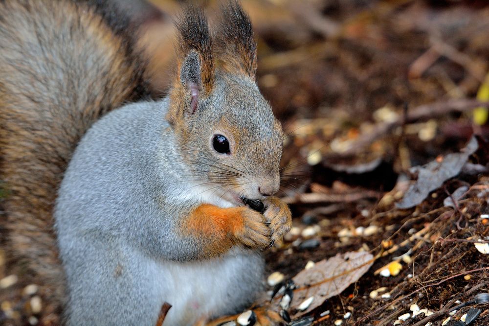 Photograph by Александр Зуев