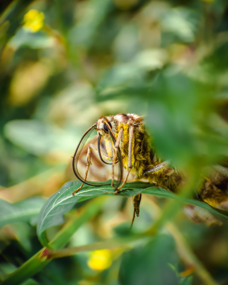 Photograph by Arjun Unnikrishnan