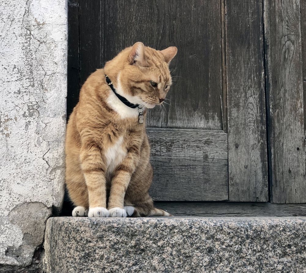 Photograph by Анна Вокина