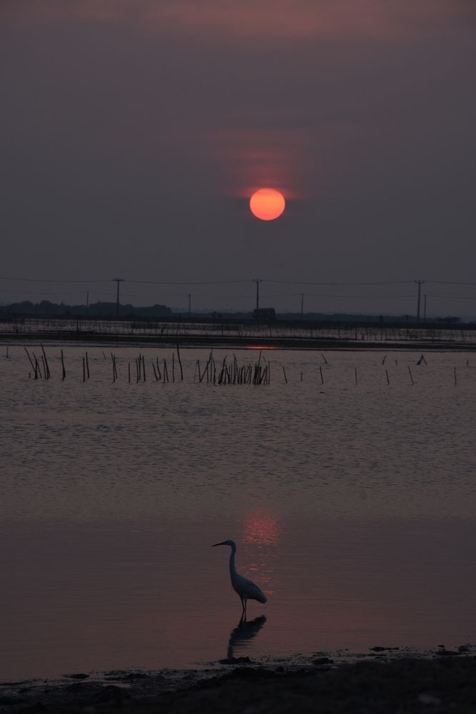 Photograph by Madushanka Pradeep