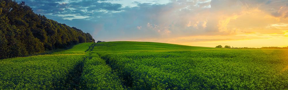 Photograph by Погорелов Сергей