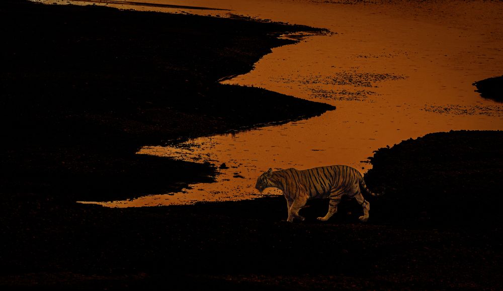 Photograph by Smita Behera