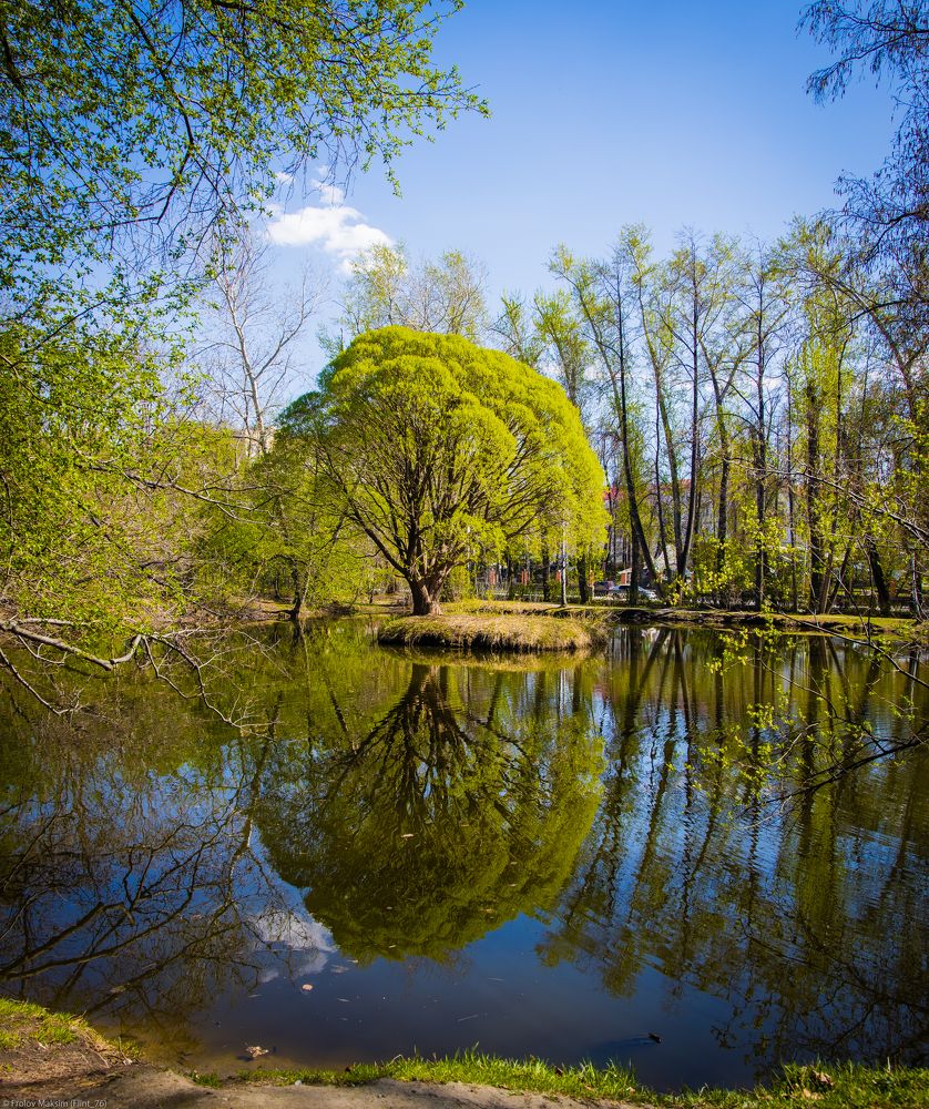 Photograph by Максим Фролов