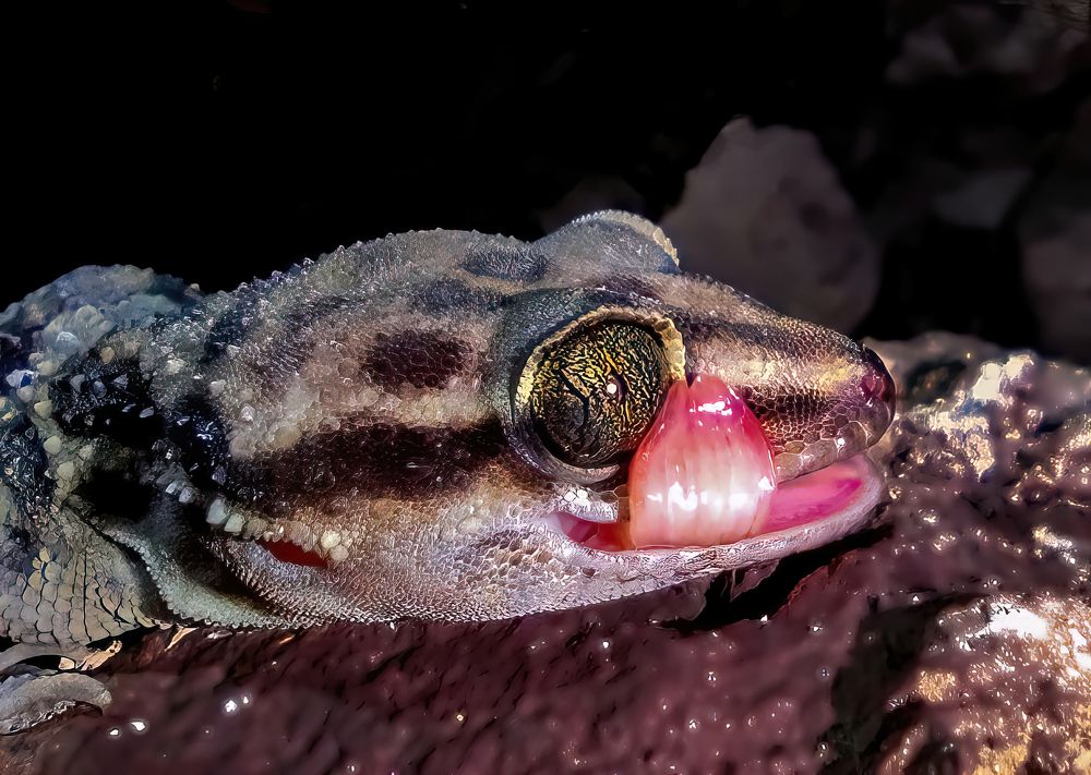 Photograph by Nitin Baste