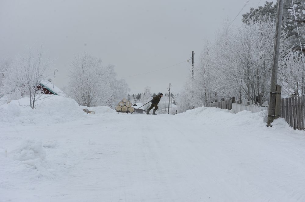 Photograph by Геннадий Тикка