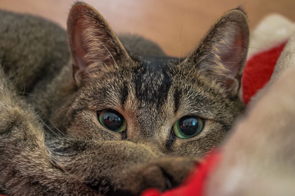 Photograph by Ангелина Высочина