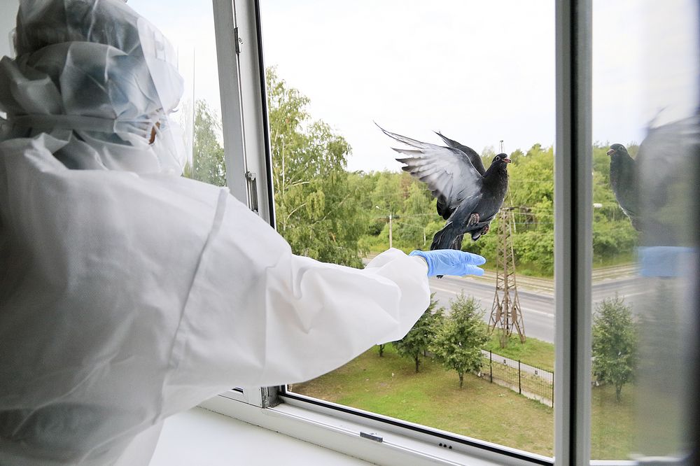 Photograph by Олег Укладов