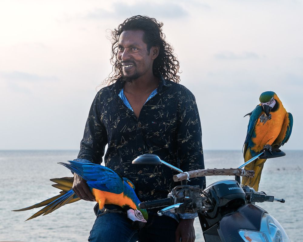 мужчина с попугаями