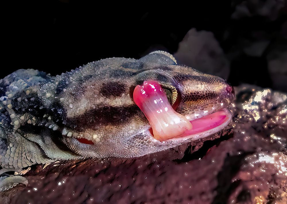 Photograph by Nitin Baste