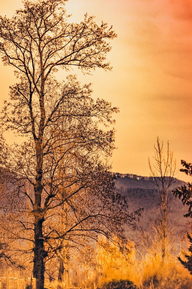 Photograph by Javad zavvar