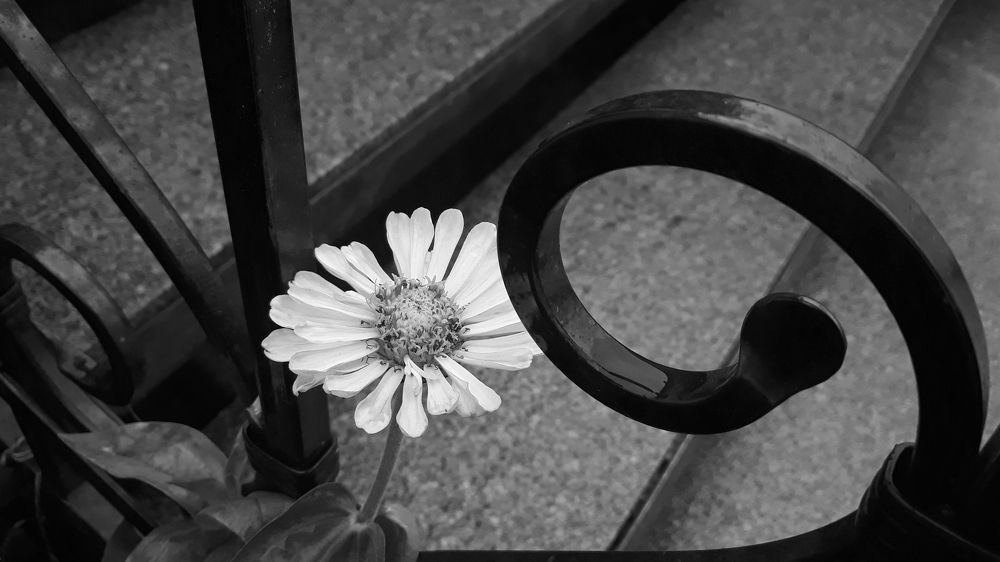 Photograph by Людмила