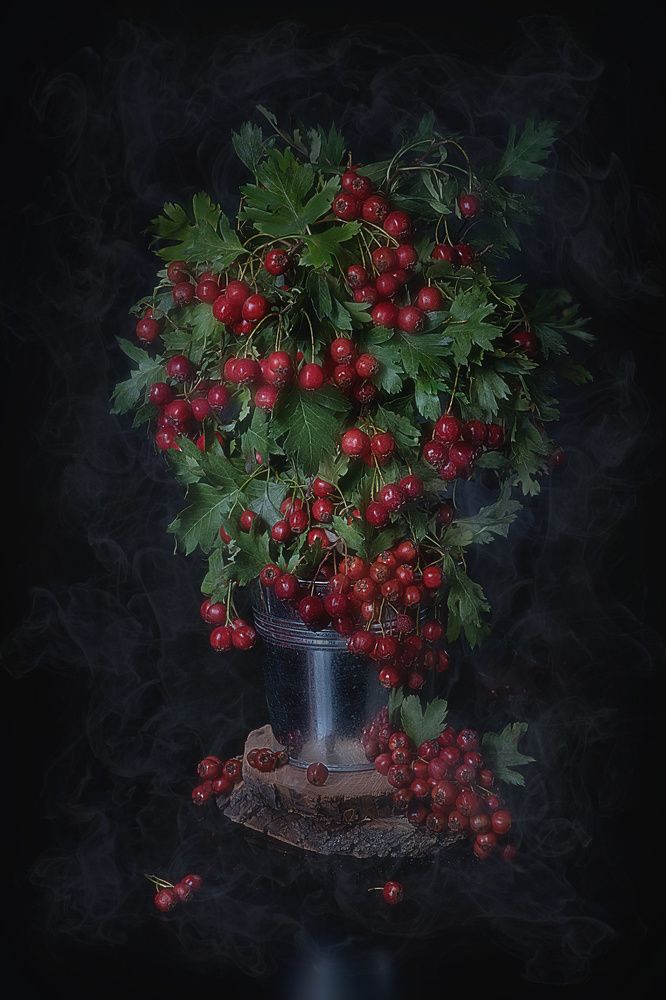 Букет боярки в магической дымке..