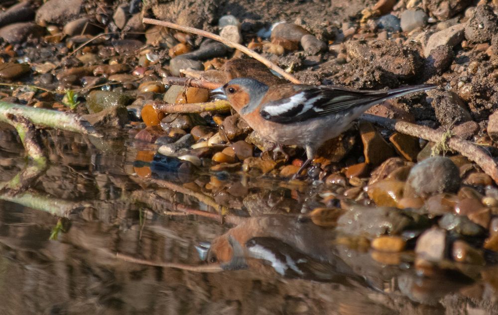 Photograph by Ирина Нурбаева