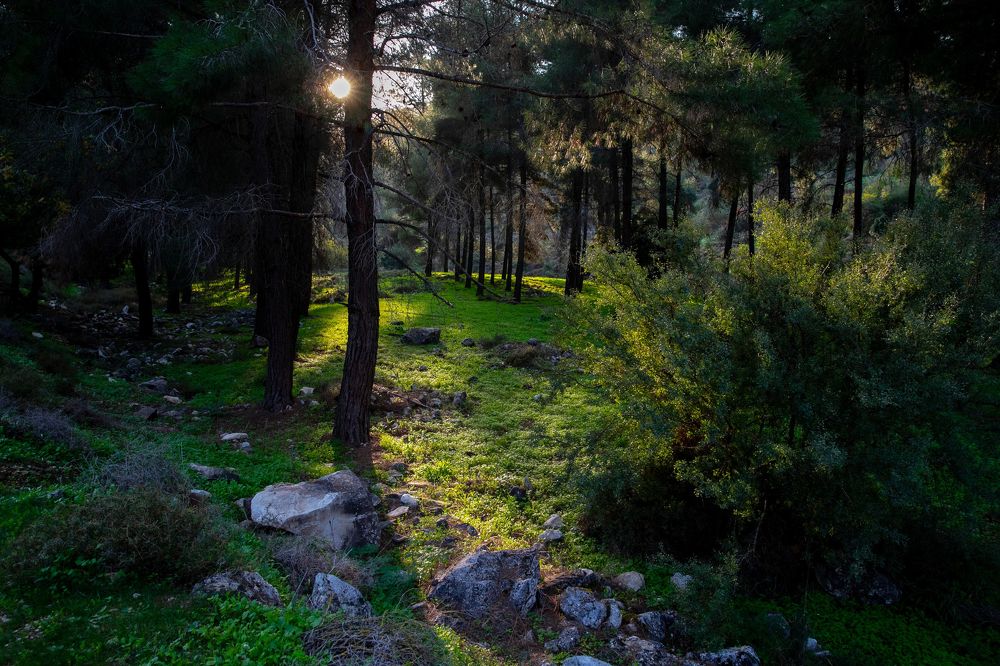 Photograph by marianna chechik