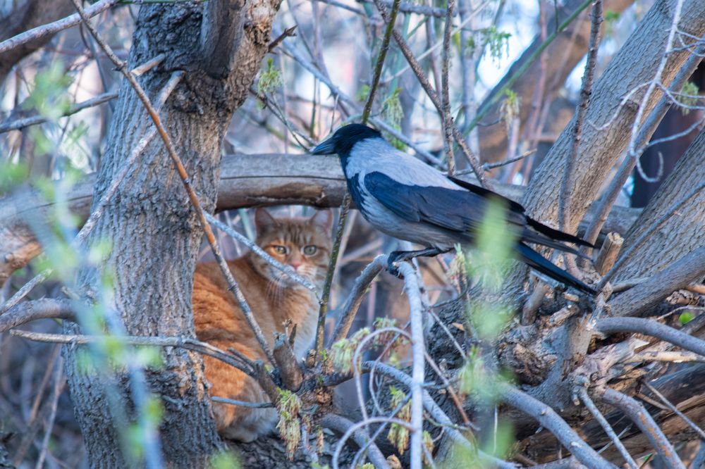Photograph by Ирина Нурбаева
