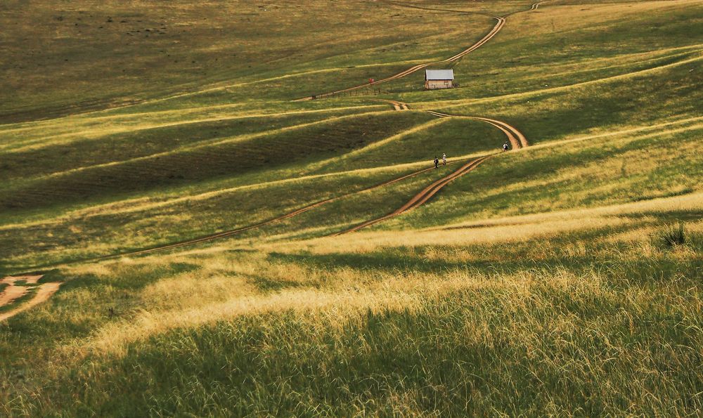 Photograph by Юля Стриж