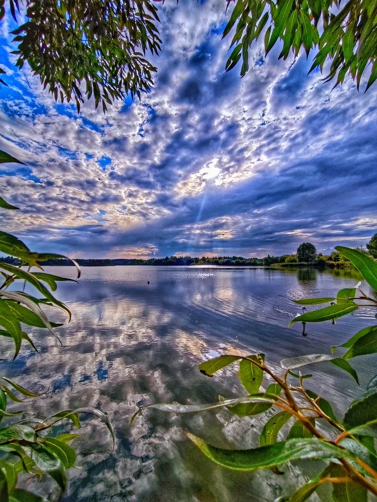 Photograph by Ирина Сыровежкина