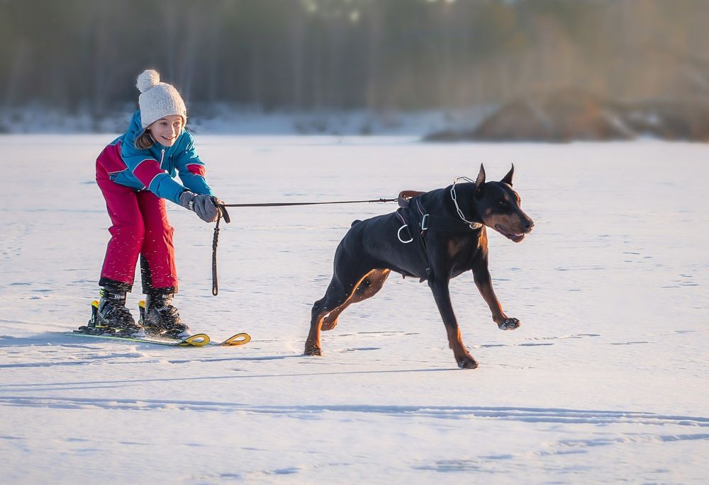 Photograph by Екатерина Лебедева