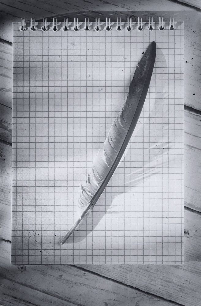 Photograph by Ольга Саенко