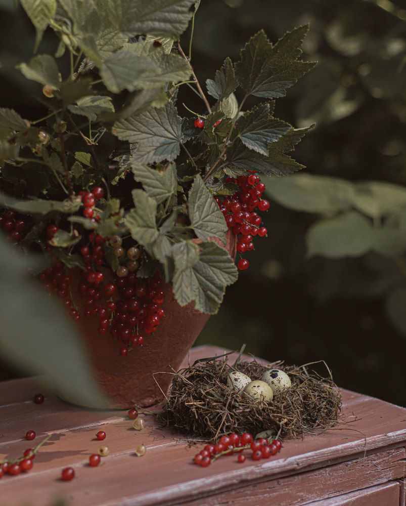 Photograph by Ирина Столбовая