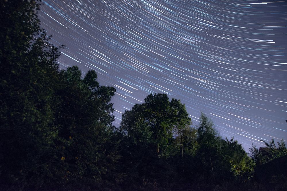 Photograph by Maria Filatova