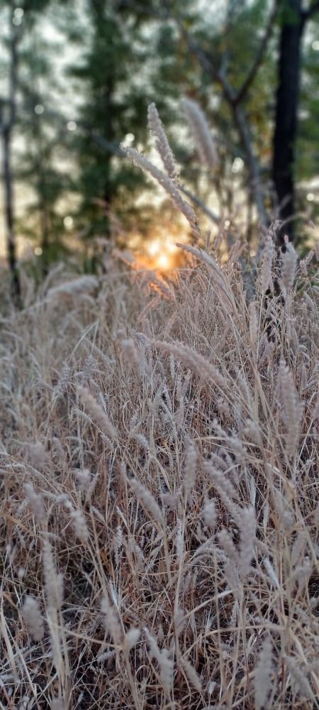 Photograph by Syed Suhel Ali
