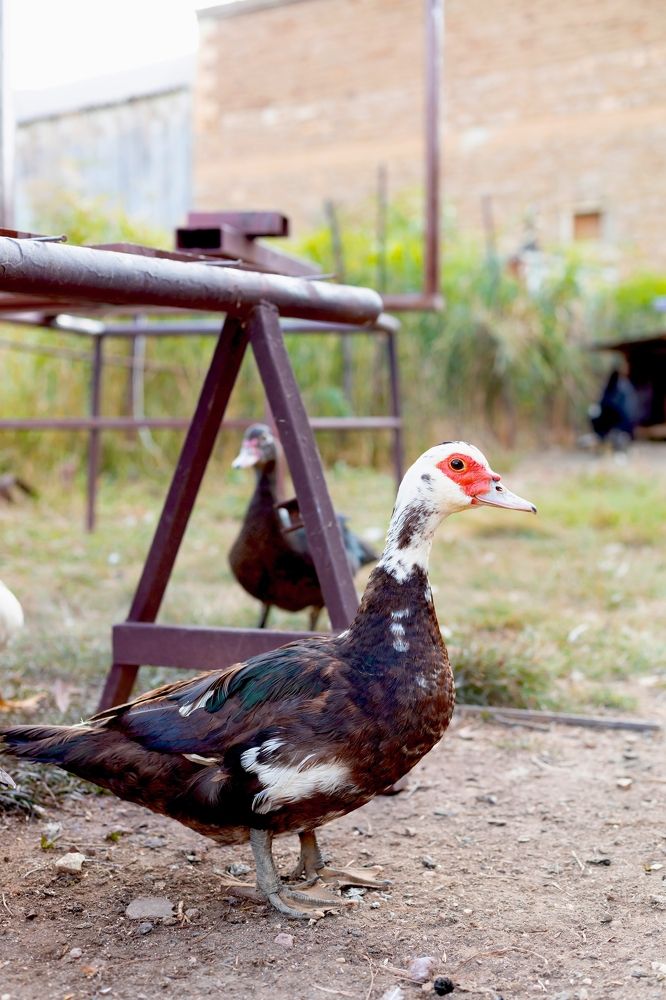 Photograph by Зарема Гаджимагомедова