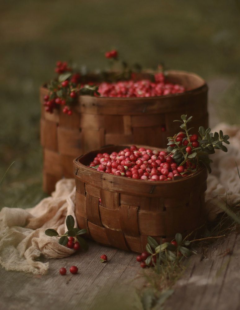 Photograph by Ирина Столбовая