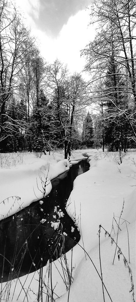 Photograph by vladimir