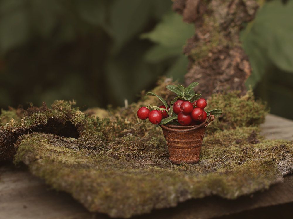 Photograph by Ирина Столбовая