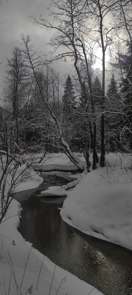 Photograph by vladimir